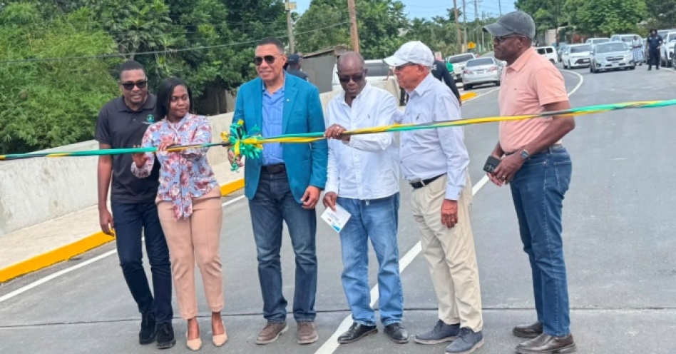 After years of waiting, Spring Village Bridge reconnects communities