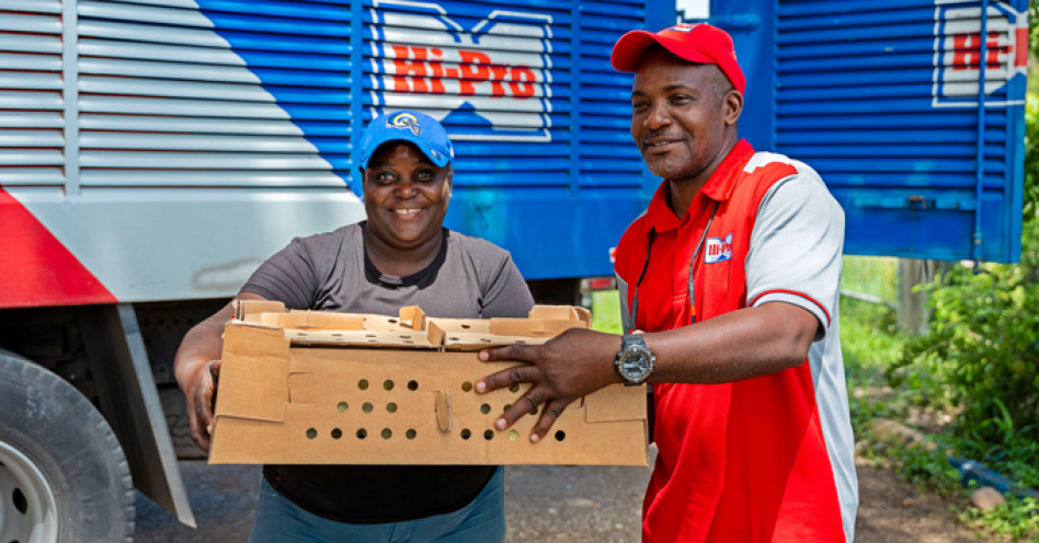 Hi-Pro representative Gerald Reid (right), presents 100 baby chicks to a Clarendon farmer affected by Hurricane Beryl. (Contributed photo)
